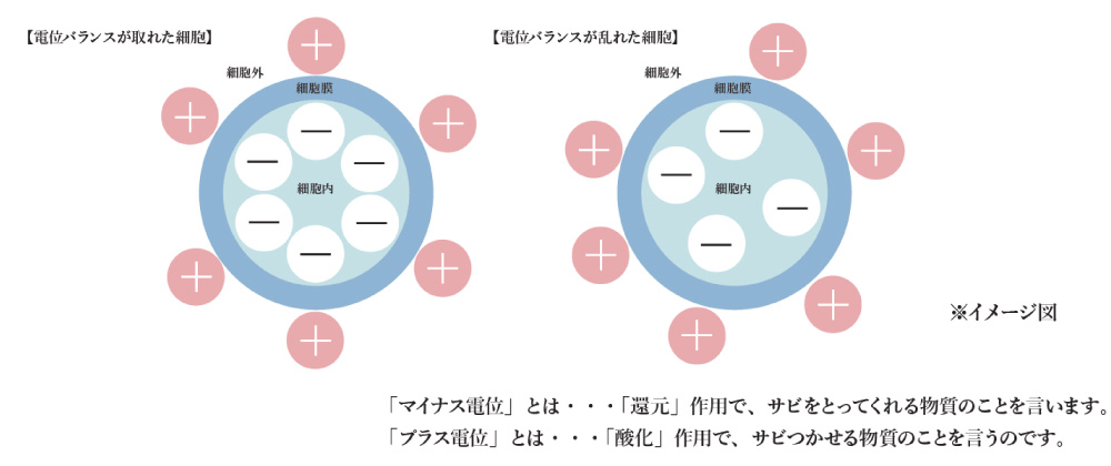 リブセラプラズマフェイシャルイメージ図、ポイント電位バランス