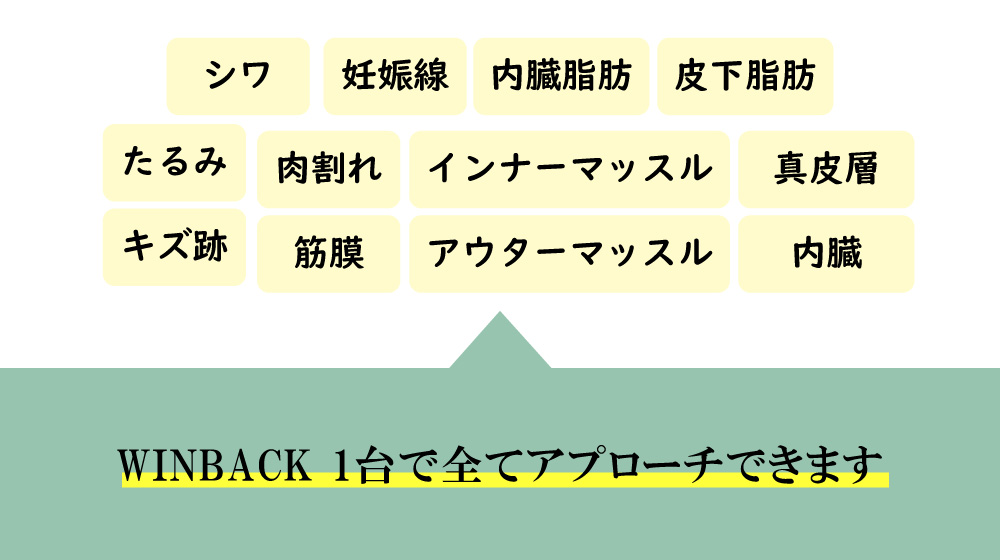 内臓・皮下脂肪・真皮層・アウターマッスル・筋膜・内臓脂肪・インナーマッスル・シワ・妊娠線（ストレッチマーク/肉割れ）・キズ跡がウィンバック1台でアプローチ出来ます。