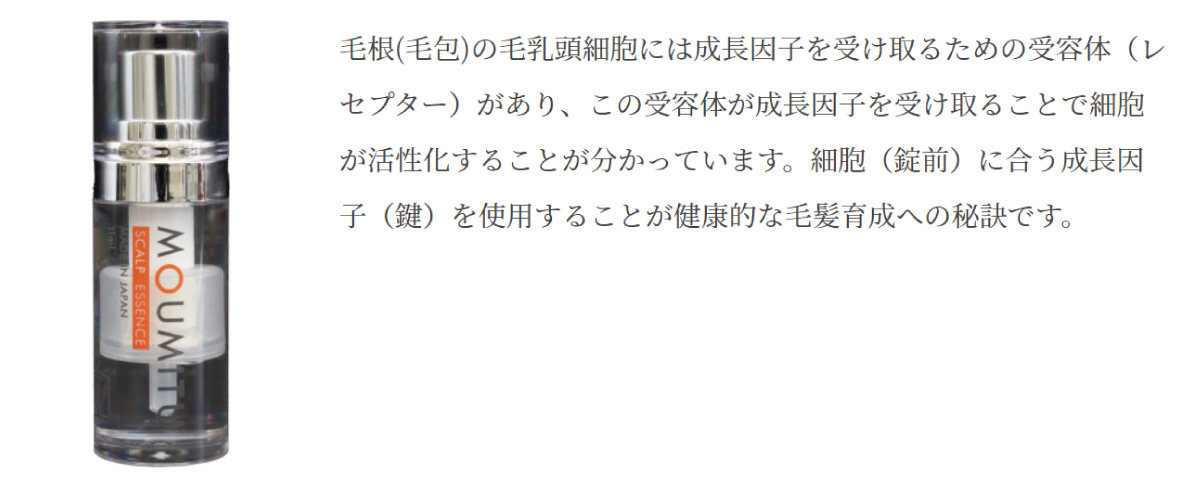 毛根(毛包)の毛乳頭細胞には成長因子を受け取るための受容体（レセプター）があり、この受容体が成長因子を受け取ることで細胞が活性化することが分かっています。細胞（錠前）に合う成長因子（鍵）を使用することが健康的な毛髪育成への秘訣です。