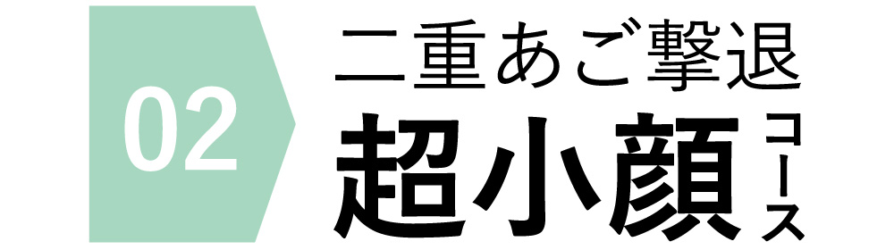 プラズマスターおすすめ即効メニュー2，2重あご撃退小顔コース