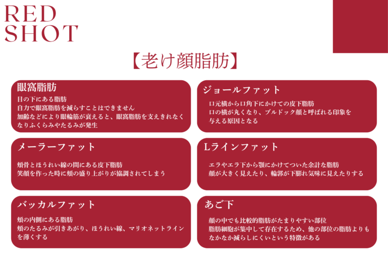 美ヨウ部、「RED SHOT(レッドショット)」は、老け顔脂肪に直接アプローチできる美容液です。眼窩脂肪、ジョールファット、メーラーファット、バッカルファット、Lラインファット、あご下脂肪の各部位に作用し、若々しいフェイスライン作りをサポートします。